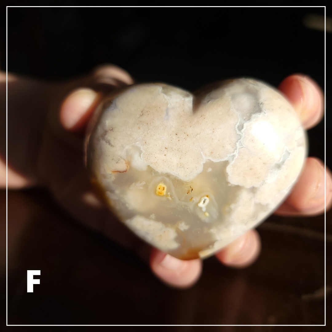 Flower Agate Hearts